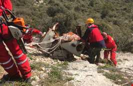 uklanjanje vozila uz pomoć HGSS-a